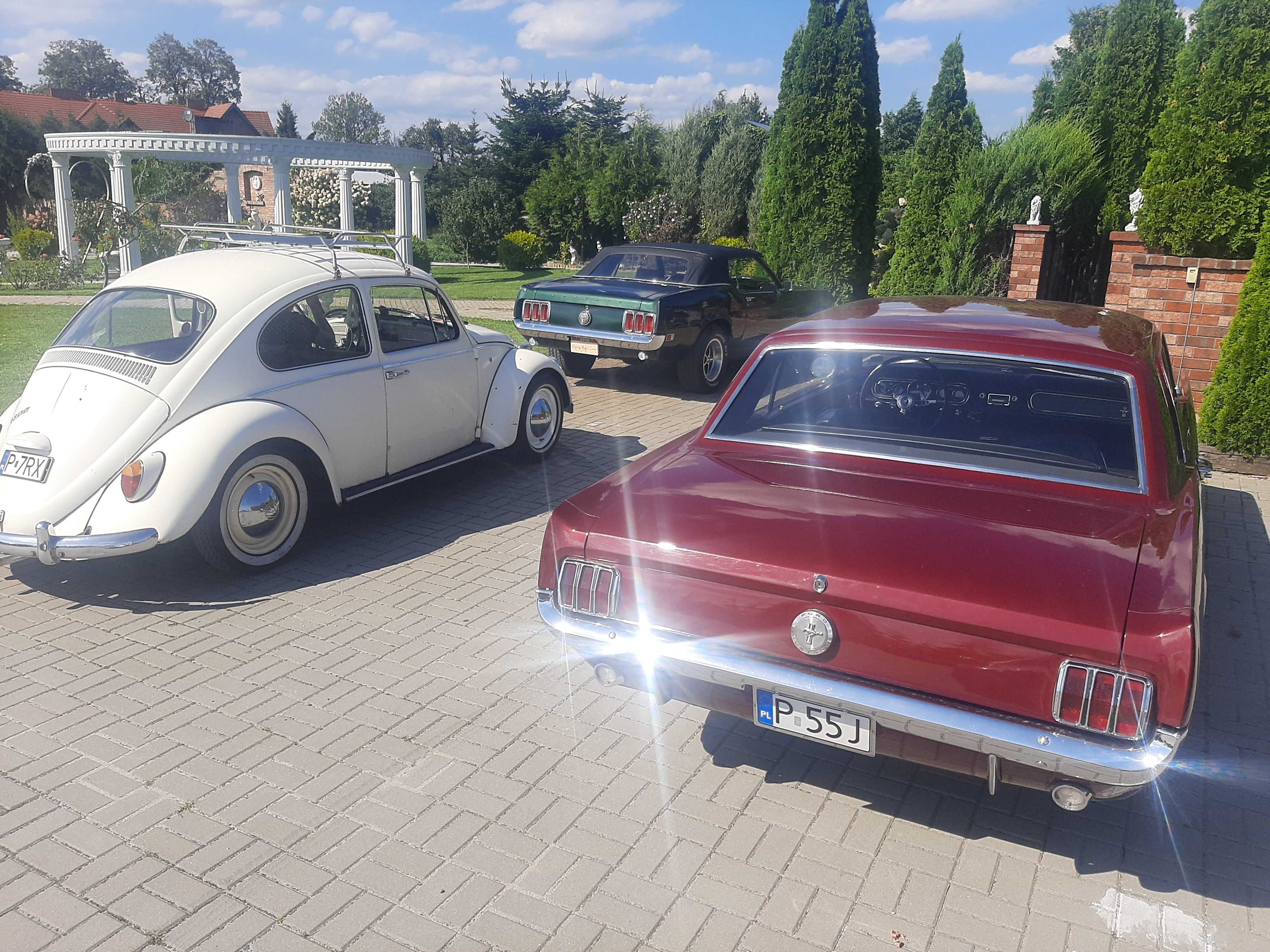 Auto Auta do ślubu Mustang wesele klasyk wolne terminy 2025 r.