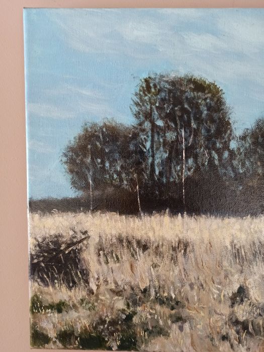Obraz akrylowy Zima 30x30