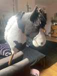 MHT Hobby horse autorstwa KHT Mehta