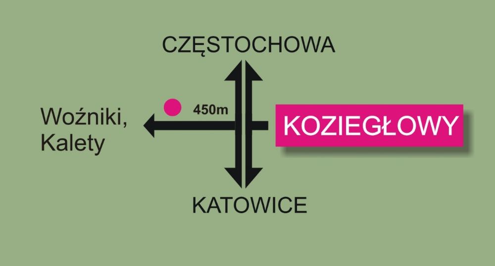 Drzewa alejowe klony graby brzozy catalpy wiązy PRODUCENT ŚLĄSK