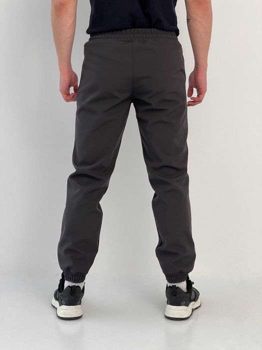 Штани чоловічі зимові утеплені на флісі софтшел сірі
