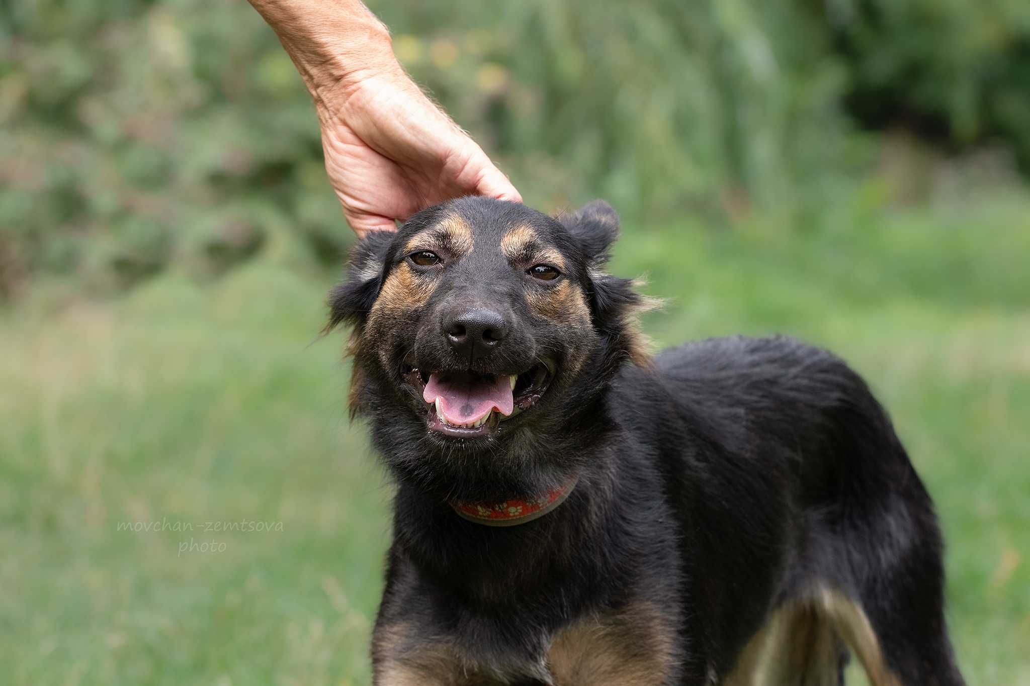 Кола в пошуках родини