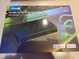 Govee Al gaming Sync