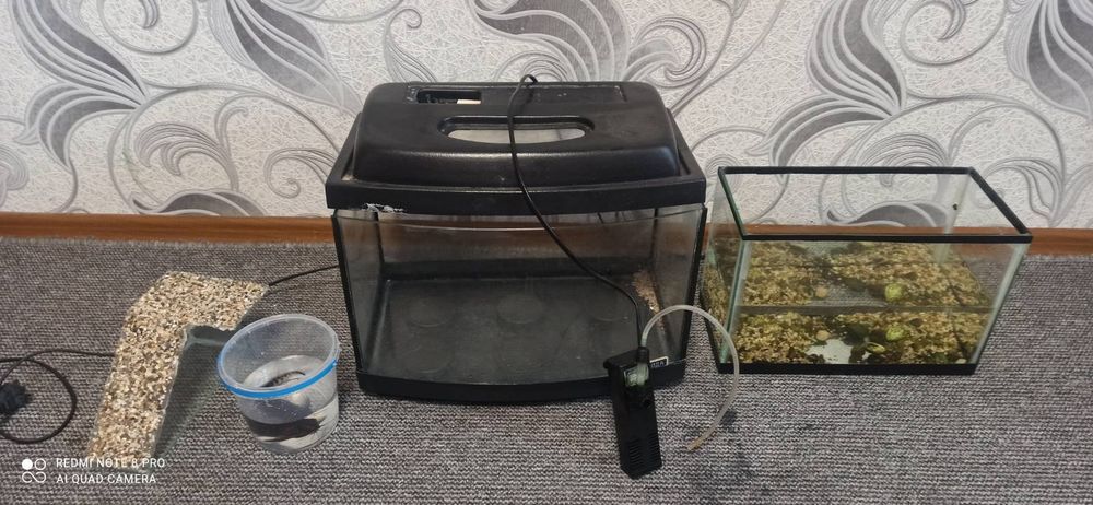 акваріуми + фільтр