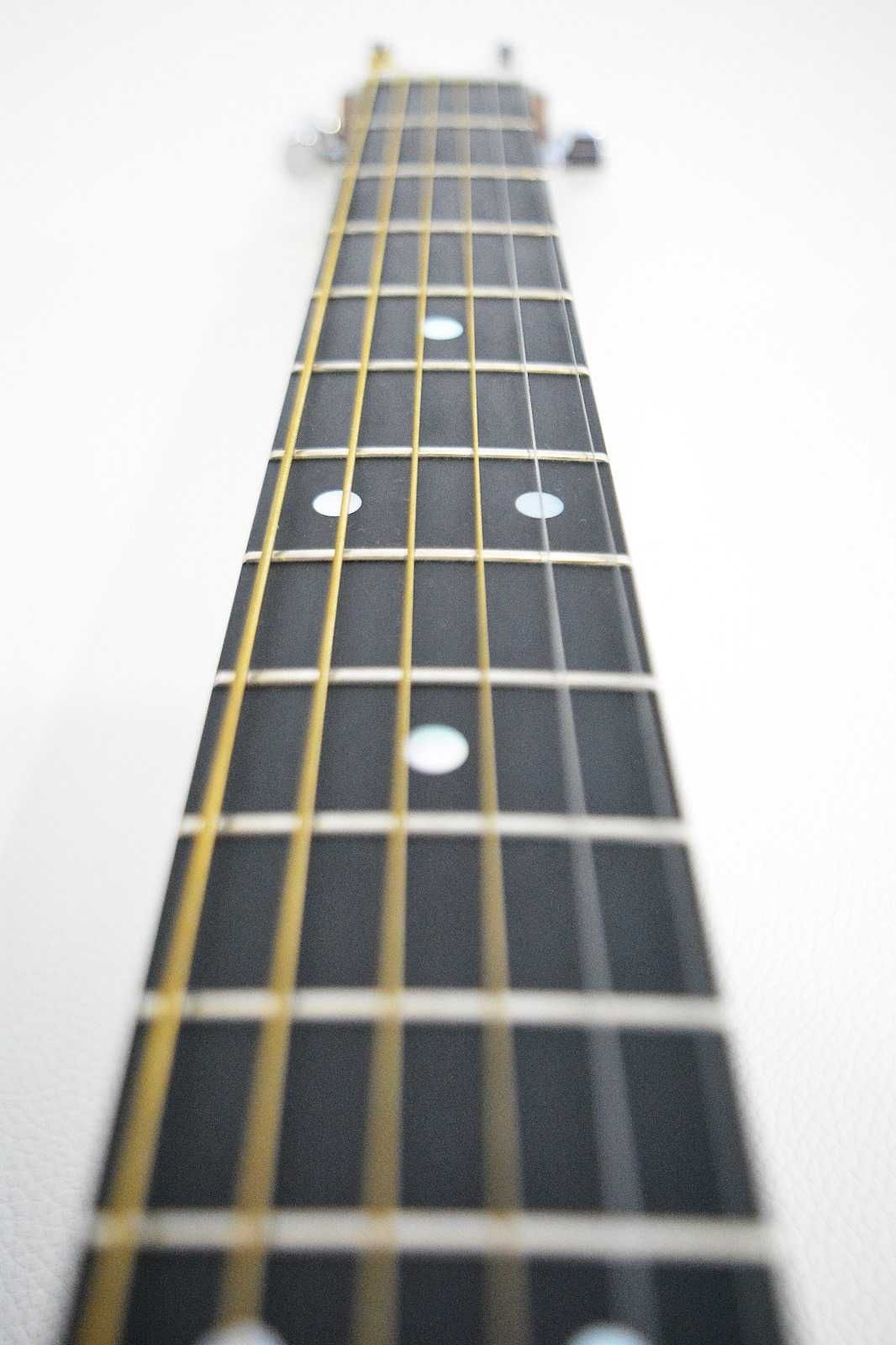 Martin & Co D-1GT USA