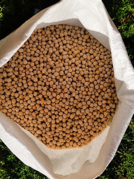 Groch opakowanie 20kg wysyłka natychmiast Inpost Na Pyszna Grochówkę