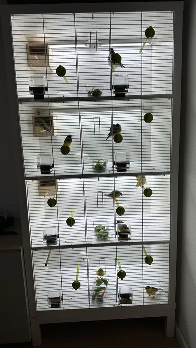 Regał na drobną egzotyke ( kanarki amadyna mewka )