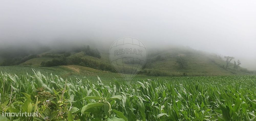 Terreno  para venda
