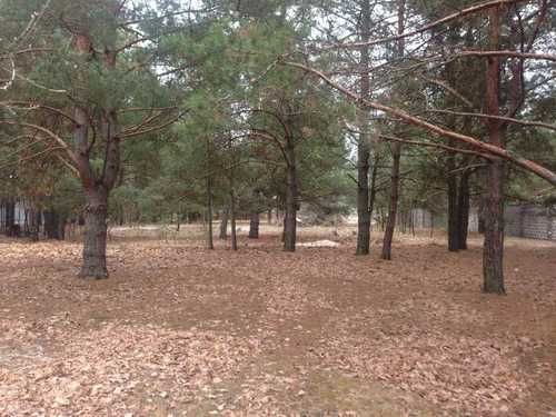 Продажа участка с лесом в селе Конча- Заспа в городке .Обуховский р-н