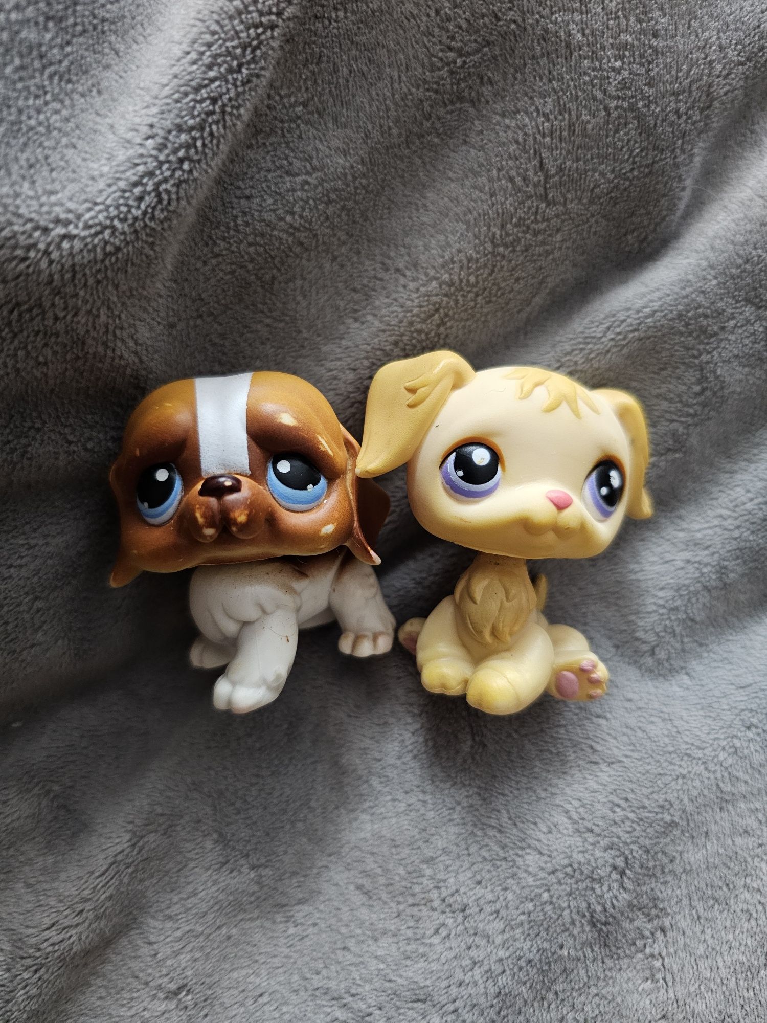 Littlest pet shop pies bernardyn