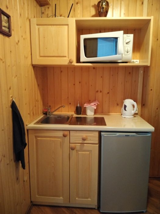 Apartament ,, Kominkowy,,  w górach , z balkonem z aneksem kuchennym
