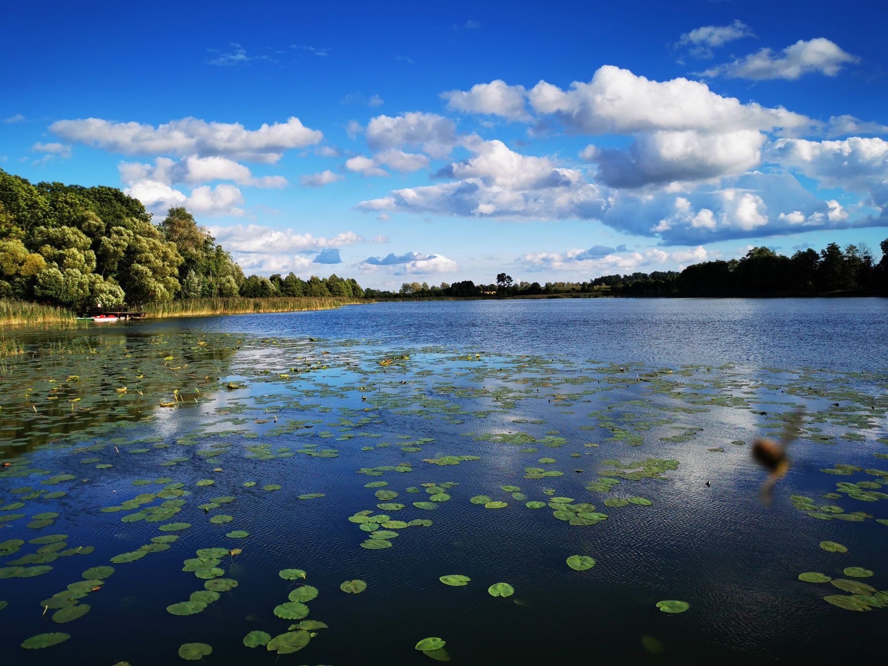 Dom na wylacznosc jezioro Kawalerskie Panieńskie Mazury SAUNA JACUZZI