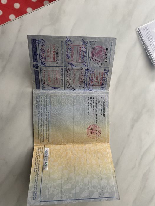 Renault trafic passenger