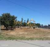 Parcela De Terreno Para Construção Industrial