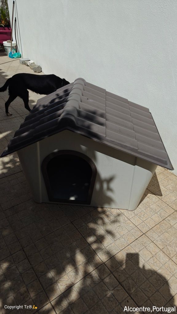 Casota Para cão de porte médio