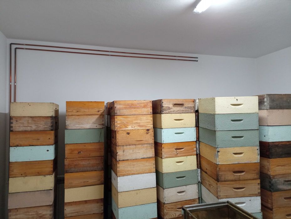 Mel da Região de Arouca