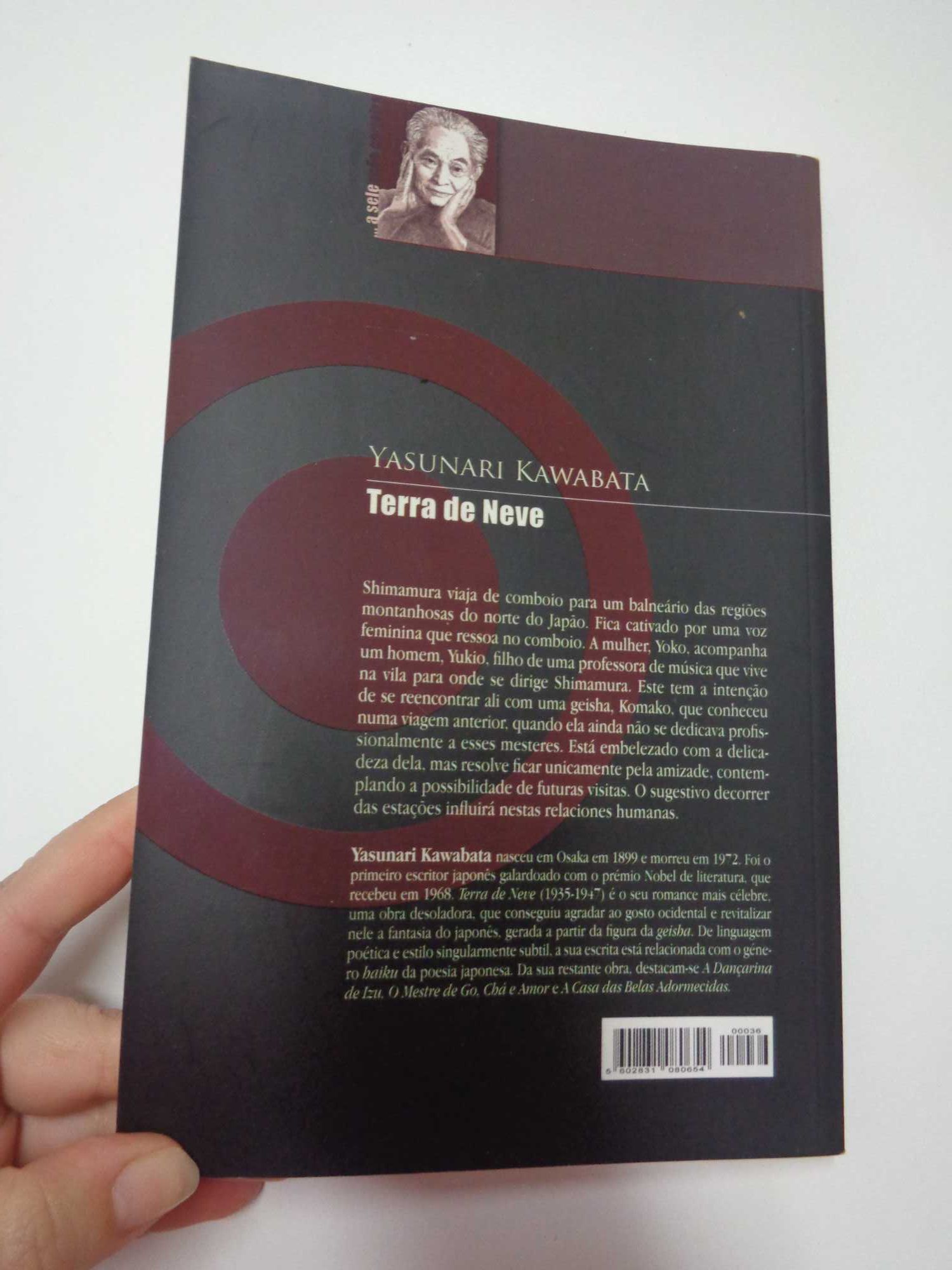 Livro Terra de Neve - Yasunari Kawabata