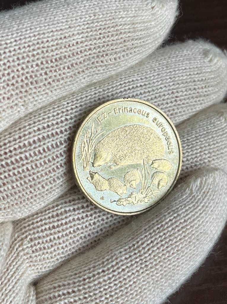 2 Złote Jeż 1996 NG Moneta