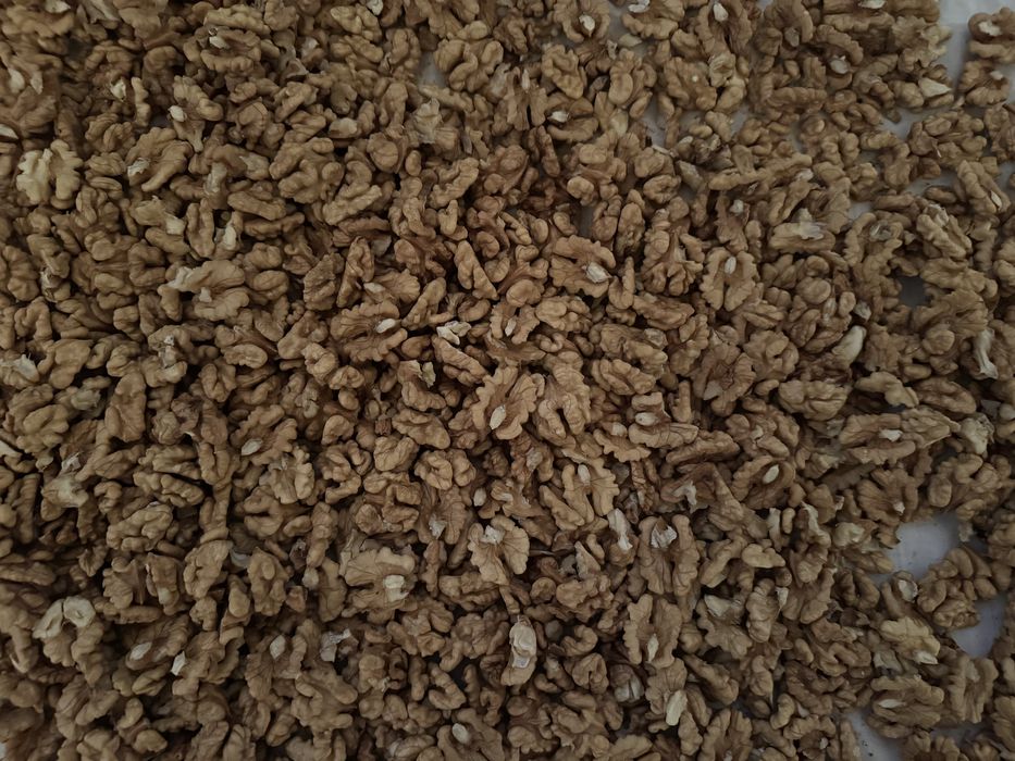 Sprzedam orzechy włoskie