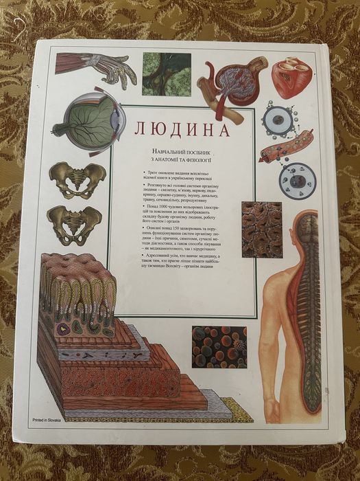 Атлас з анатомії