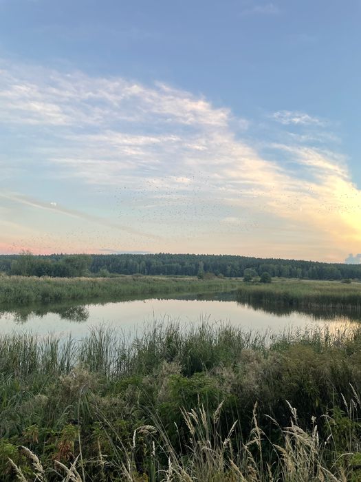 Stawy Hodowlane 50 ha - ogrodzone