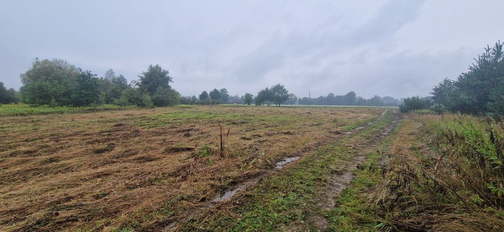 Działka na sprzedaż, Secymin Polski 3000m2