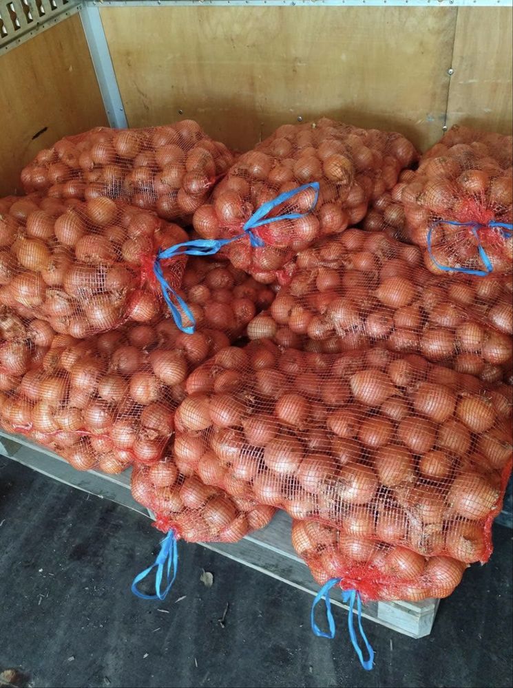 5 sacos cebolas ou batatas