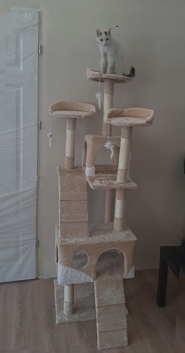 Drapak dla kota XXL beżowy NOWY 170 cm