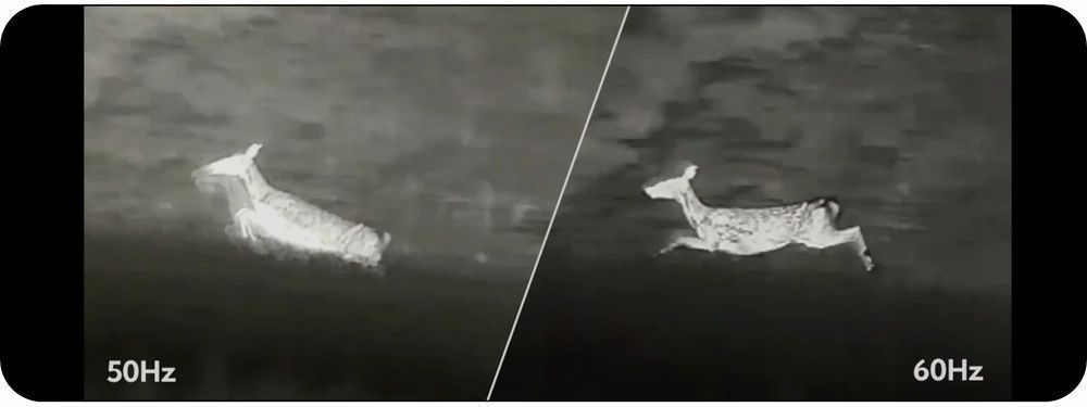 Kamera Termowizyjna Monokular Termowizyjny Nocpix Vista S50R 1024x1280