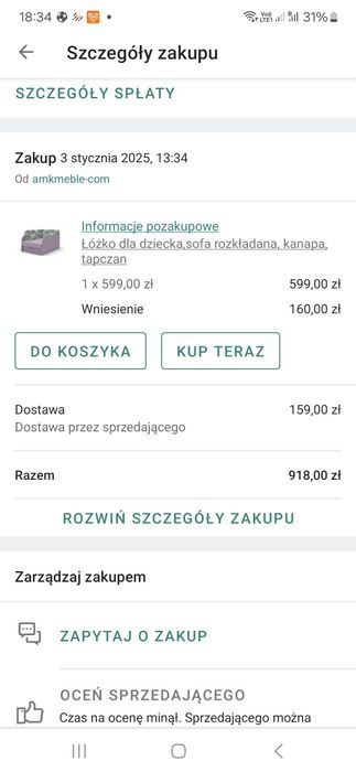 Rozkładana sofa fotel