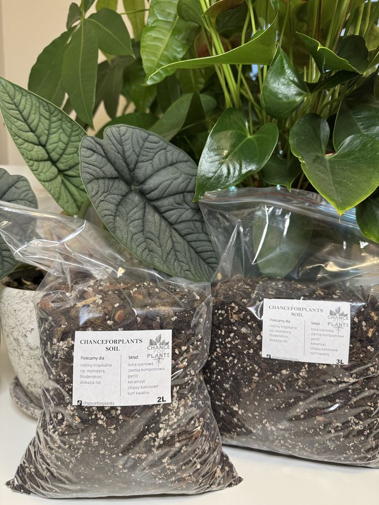 Podloże 2L, bigos dla roślin tropikalnych: monstera, filodendron itp.