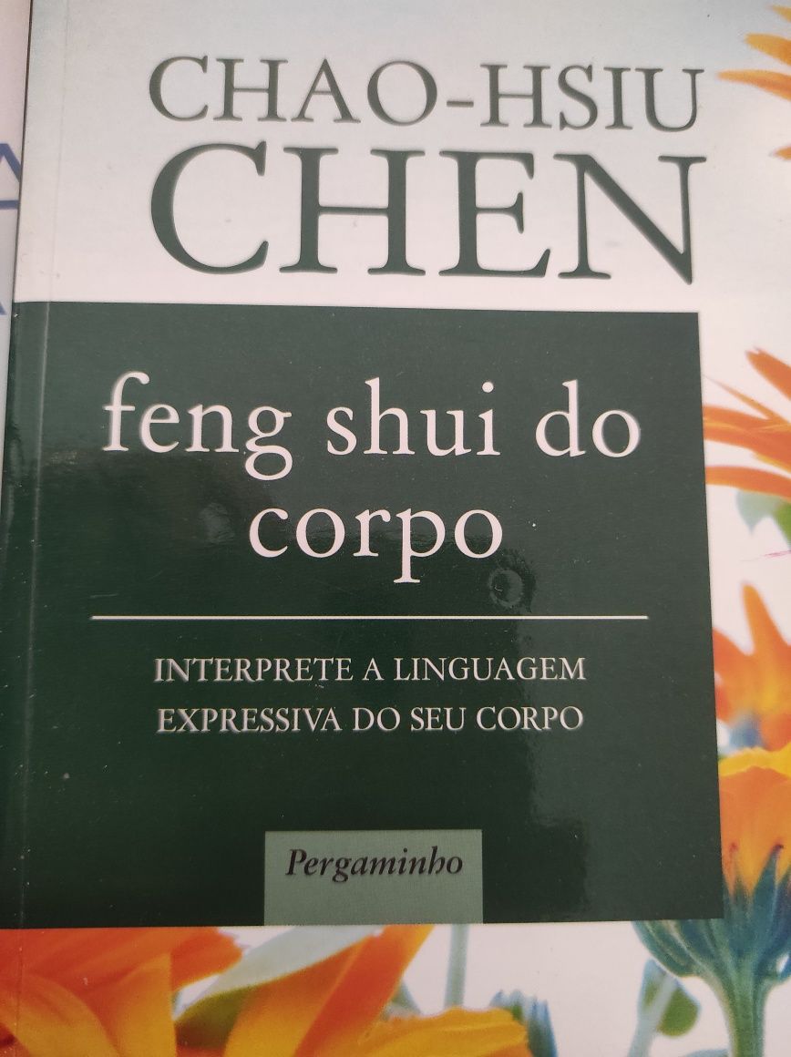 Feng shui do corpo