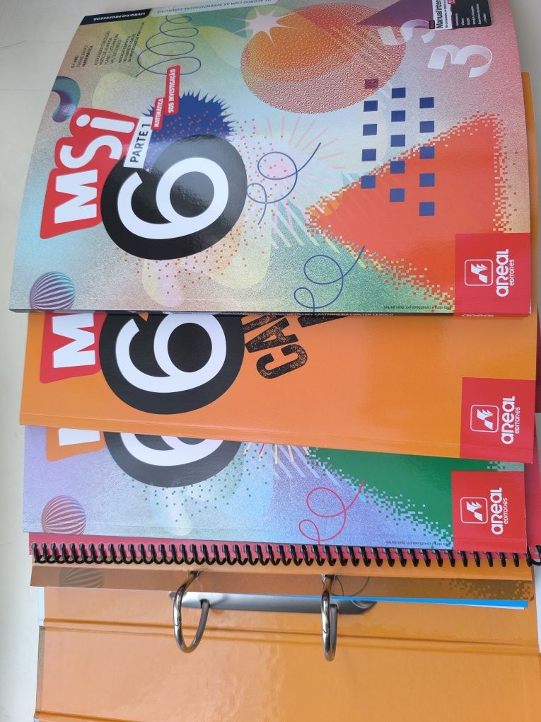 Projeto escolar MSI 6 ano
