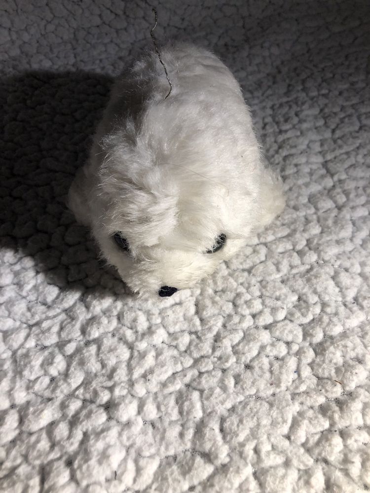 Foca branca peluche