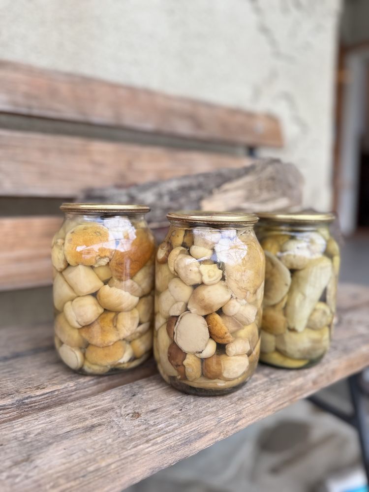 Мариновані гриби , мухомори сушені