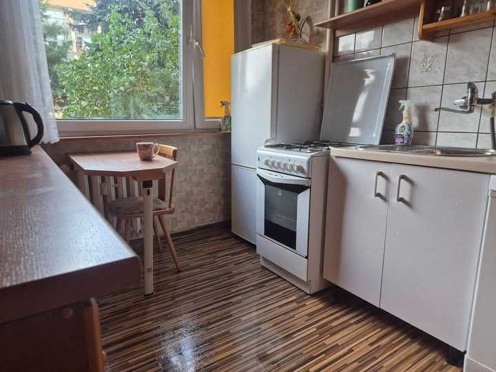 Pokój jednoosobowy do wynajęcia