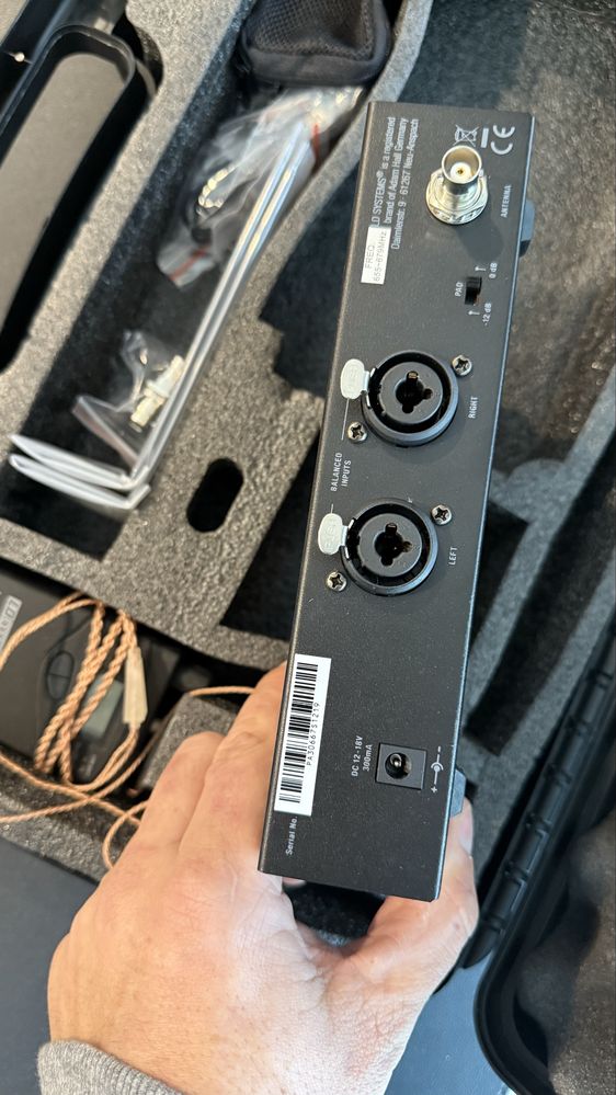 LD 1000G2 in-ear