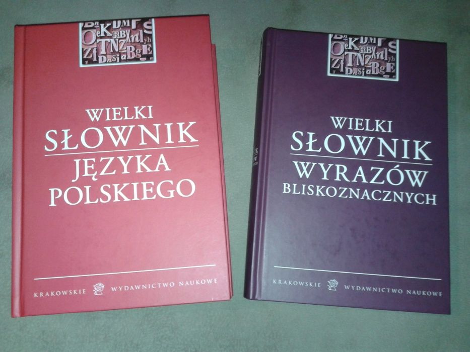 Książka Wielki Słownik Języka Polskiego Wyrazów Bliskoznacznych nauka