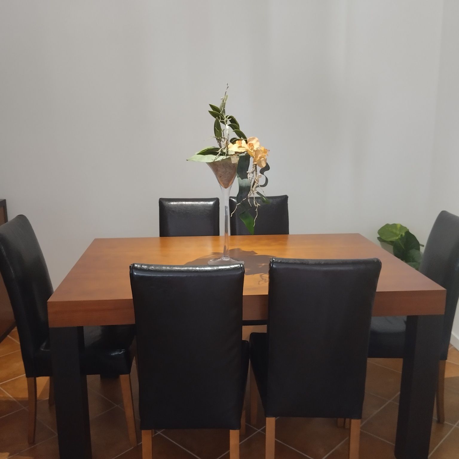 Mesa com 6 cadeiras