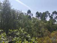 Terreno em Chãos de 1760,00 m2