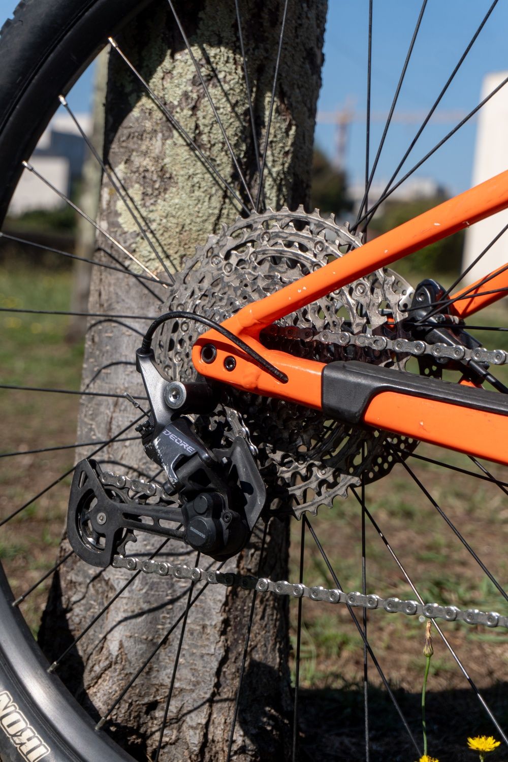 Orbea oiz h30 2022