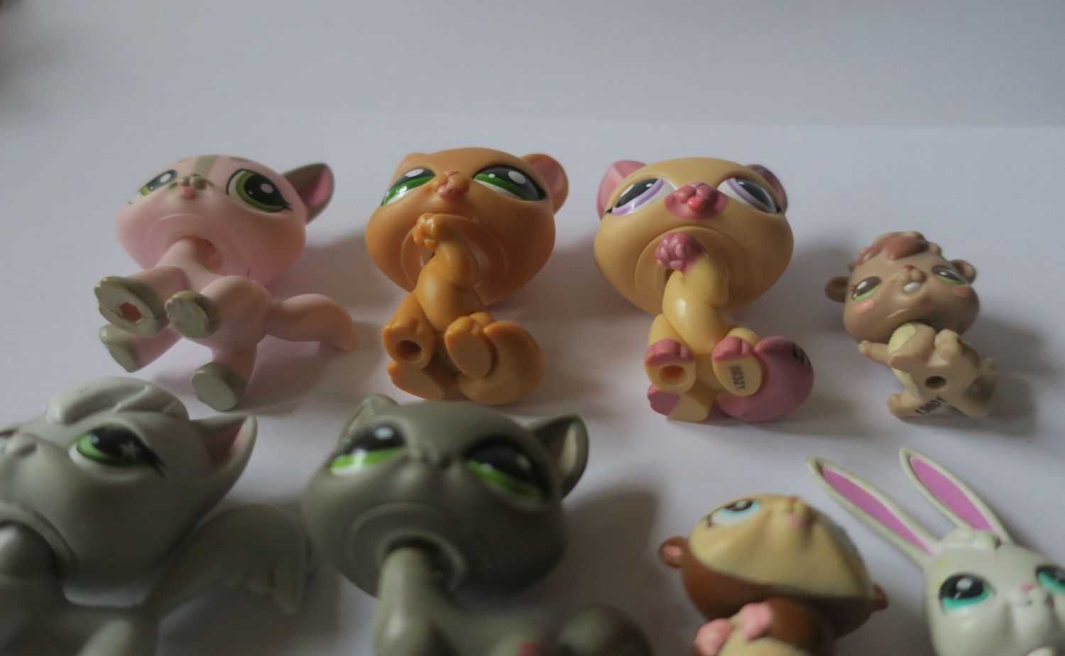 Kot Littlest Pet Shop kotek lps chomik wiewiórka
