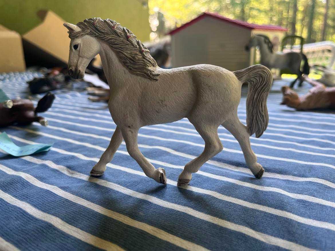 Schleich KLACZ RASY HOLSZTYŃSKIEJ (Schleich 13858)