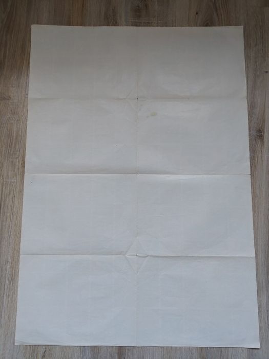 Plakat Kaczor Donald, Donald Duck, Disney, 100 numerów