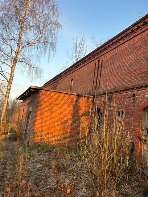 Cegła rozbiórkowa do rozbiórki