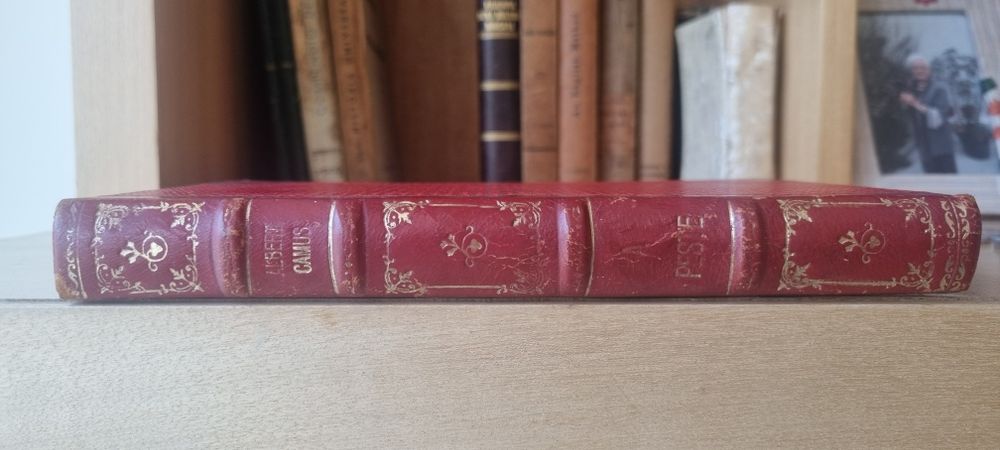 A Peste Albert Camus