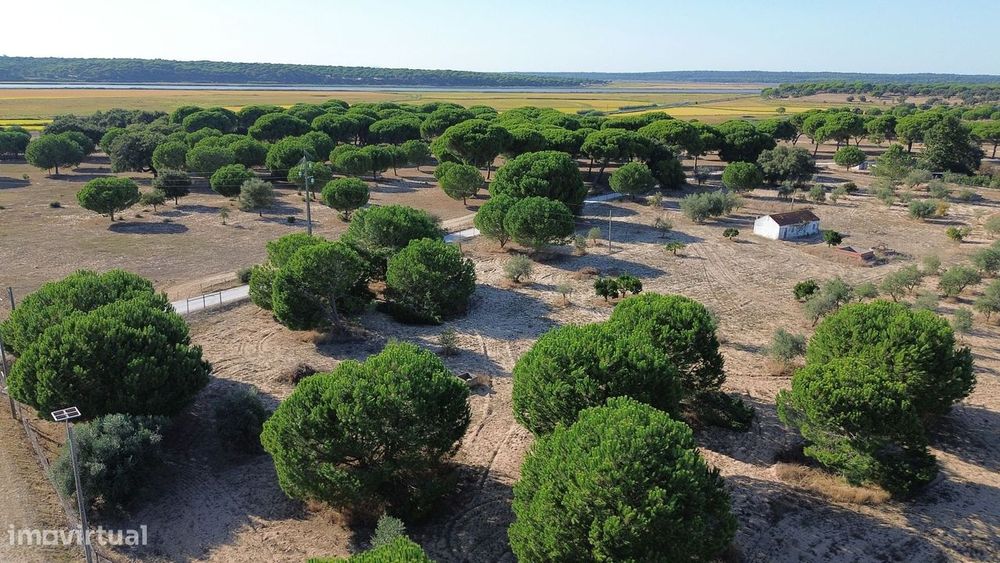 Terreno com Projeto Turístico Aprovado em Alcácer do Sal