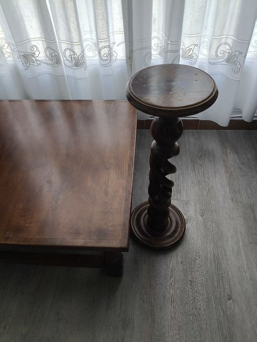 Mesa de centro e suporte para plantas