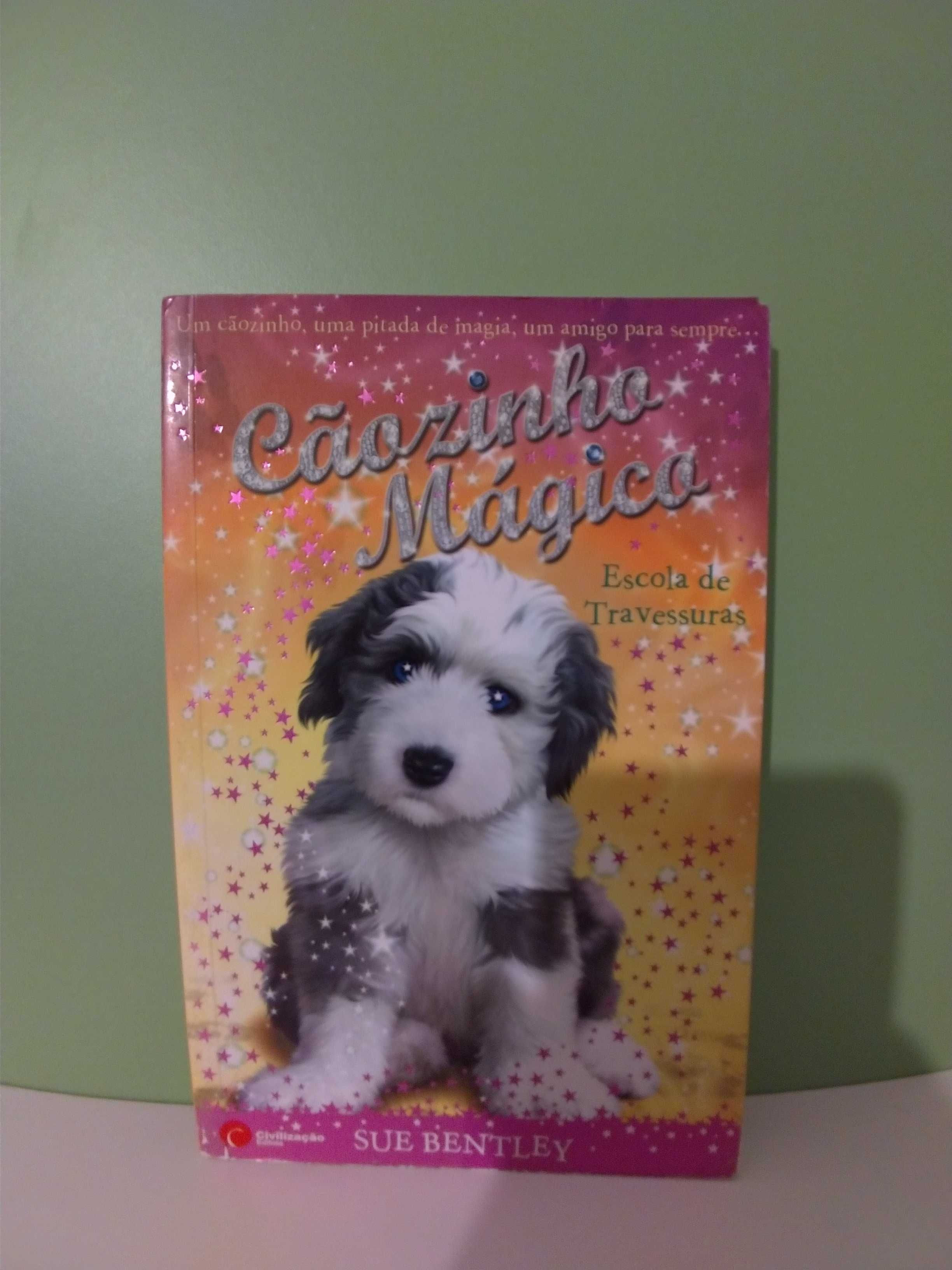 Livros (Cãozinho e Pónei mágico, Diário de uma totó)