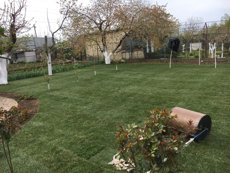 Рулонный газон , автоматический полив , аэрация, покос.